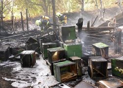 Brand Pennickental Jena 080818